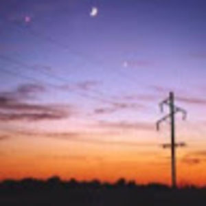 Meet your Posher, Desiree